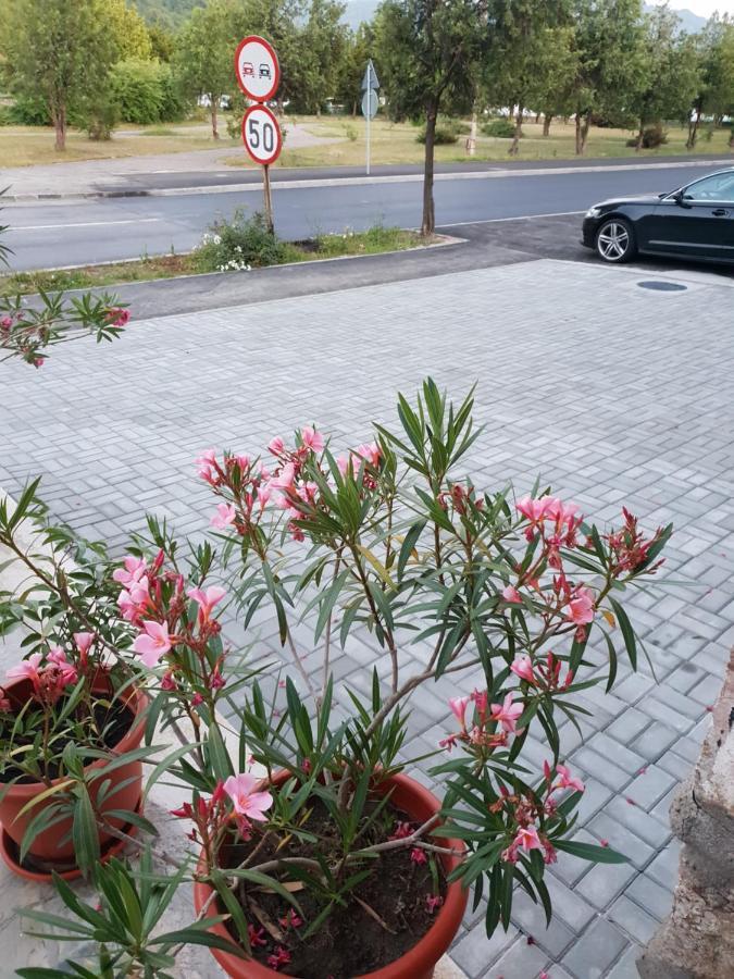 Вілла Pretty Garden Оршова Екстер'єр фото